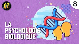 La psychologie biologique  Cours condensé de psychologie 8 [upl. by Nlyak]