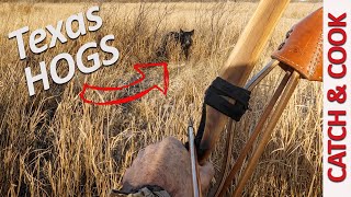 Bowhunting TEXAS HOGS  Spot and Stalk CATCH amp COOK [upl. by Niveek]