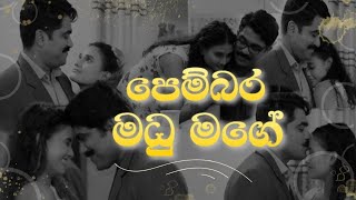 පෙම්බර මධු මගේ Pembara madu mage  Raveen Kanishka  Paaradige  Uddika Dusheni Cover [upl. by Konopka]