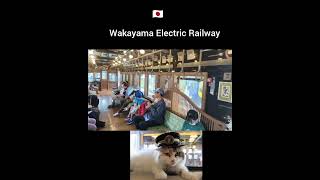 Wakayama Electric Railway a unique railway company [upl. by Craner]