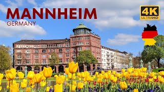 Mannheim Germany A walking tour in 2023 I 4K HDR [upl. by Euginomod]