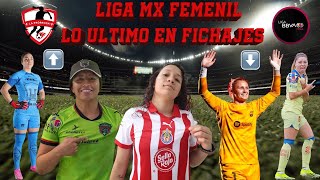 RUMORES FICHAJES ALTAS Y BAJAS LIGA MX FEMENIL¿KATTY MARTÍNEZ SE VA SANDRA PAÑOS LLEGA A MÉXICO [upl. by Lianne]