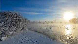 Taymyr Lake Peninsula  Russia Travel [upl. by Dolhenty]