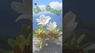 Latest santali good morning status shorts [upl. by Lein9]