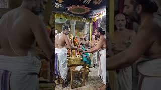 Srirangam Sri Ranganayaki Thayar Sri Periya Perumal prasadham to Sri Thooppul Swamy Vedanta Desikan [upl. by Enoed]