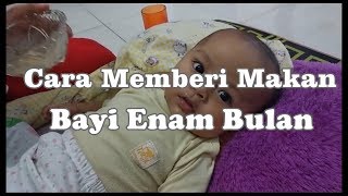 Cara Memberi makan bayi 6 Bulan [upl. by Ilojne154]