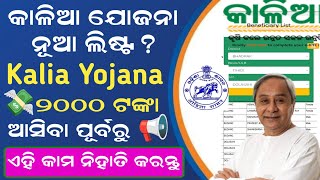 Kalia Yojana New Update 2024  Kalia Yojana New Beneficiary List Check Online  kalia yojana ekyc [upl. by Iturhs]