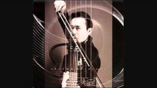 Susumu Hirasawa  WIRESELF Kangenshugi Version [upl. by Tnecnev]