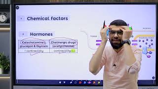 CVS 4 Contractility Part 2 Factors affecting [upl. by Manning201]