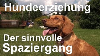 Hundeerziehung ohne Stress  Der sinnvolle Spaziergang verknüpft mit Hundeerziehung ohne Stress [upl. by Nauqed522]