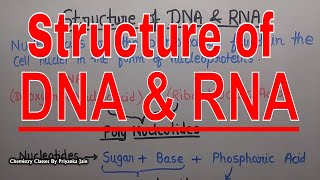 Struture of DNA amp RNA Nucleic acids  Biochemistry Part 29  csir net  gate  Iit jam [upl. by Karalee]