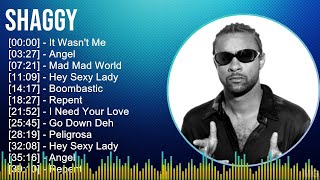 Shaggy 2024 MIX Best Songs  It Wasnt Me Angel Mad Mad World Hey Sexy Lady [upl. by Apul]