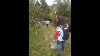 Tree Planting Legacy Trail Masungi Georeserve [upl. by Notgnillew]