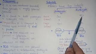 Ribosomes Structure And Functions  Polysomes  Federal amp KPK Board [upl. by Assel]