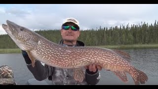 Massive Pike at Wollaston Lake Ontario Canada [upl. by Aramenta]