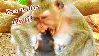 Oh My Baby Mother Princess Monkey Angry Cute Baby Mistreat  Beat Bites Screaming [upl. by Ramhaj755]