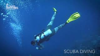 Scuba Diving  Vallarta Adventures® [upl. by Eidda856]