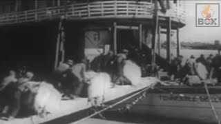 Loading Cotton Bales on a Steamboat  A Depression  Era Perspective [upl. by Isiad695]