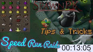 SpawnPK  Tips amp Tricks to improve your raid runs  Metal Raimon [upl. by Etnoek386]