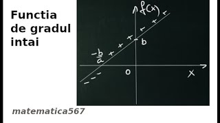 Functia de gradul 1 [upl. by Yra168]