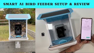 Catit PIXI Smart Feeder Review  The Gadget Show [upl. by Eerdna]