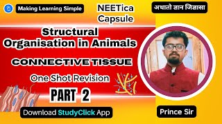 Structural Organisation in Animals  One Shot Revision  Connective Tissue  PART2  NCERT Class 11 [upl. by Demahom]