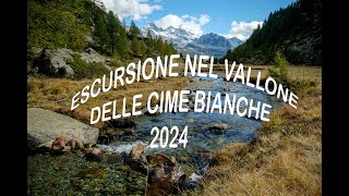 Vallone Cime Bianche [upl. by Billy377]