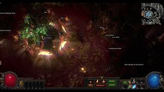 Witchwood Path of exile hideout [upl. by Pelage]