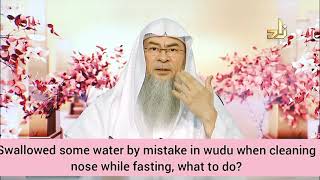 Swallowed some water by mistake when rinsing nose in wudu while fasting what to do Assim al hakeem [upl. by Latrena129]