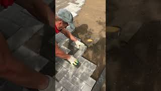 Paving bricks on cementsand mixture brick bricks gardendesign pavers diyideas landscape [upl. by Annah]