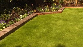 How to Care For and Maintain Lawns  Mitre 10 Easy As DIY [upl. by Deane35]