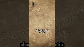 Have you ever seen the gigantic Nazca Lines history archaeology shorts [upl. by Enneiluj]