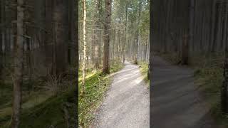 Vilsalpsee pt5 mountains travel alp nature hiking views tannheimertal trekking wandern [upl. by Gujral]