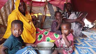 Nutrition Changemakers Dr Mohamed Abdi Farah SUN Movement Focal Point Somalia [upl. by Paviour]