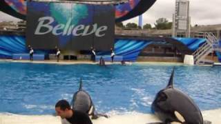 Believe part 7  One WorldCelebrationBelieve Walkout [upl. by Hsemar601]