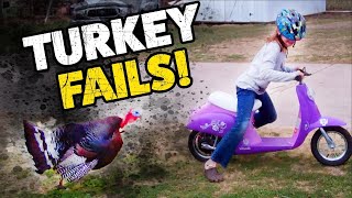 Jerky Turkeys  Thanksgiving Fails  Funny TBF Videos 2019 [upl. by Aix862]