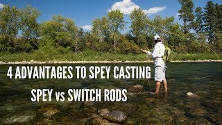 Spey vs Switch Rods and Spey Casting Advantages [upl. by Debo747]