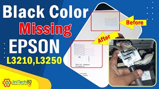 Epson L3210 Black Color Missing  Epson L3210 Nozzle Missing and Head Cleaning  JiniTech BD [upl. by Ajnos]