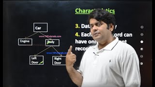 Hierarchical model in DBMS [upl. by Ellehctim]