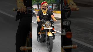 Golden Royal Enfield Goldman [upl. by Cilurzo]