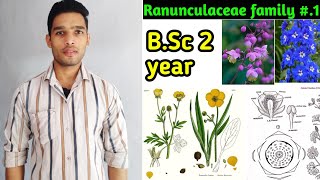 Ranunculaceae family floral formula daigram and Economic importance BSc 2 year [upl. by Boehike]