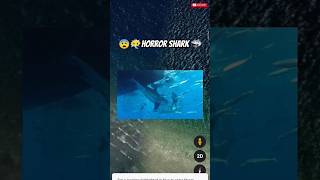 😨😶‍🌫️ horror shark 🦈 shorts map googleearth trending datadefender4u [upl. by Anerres]