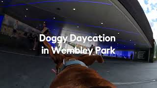 Doggy Daycation  Best Dog Parks In London  Wembley Park  gopro [upl. by Erasaec544]