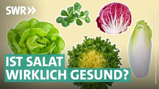 Gartensalate Bittersalate amp Co – das steckt wirklich drin  Marktcheck SWR [upl. by Noreht555]