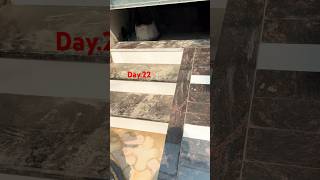 Day22 ramp design tiles youtubeshorts home contractor marble ￼￼ [upl. by Manthei]