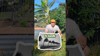 Hurricane proof your Florida garden [upl. by Benco]