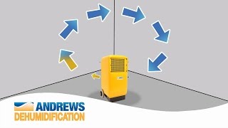 How do dehumidifiers work [upl. by Morgun]