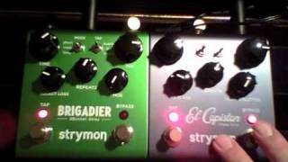 Strymon  Brigadier VS El Capistan  Tape Age VS Bucket Loss [upl. by Ahselrac]