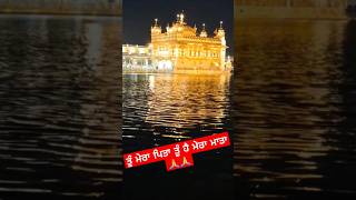 ਤੂੰ ਮੇਰਾ ਪਿਤਾ ਤੂੰ ਹੈ ਮੇਰਾ ਮਾਤਾ🙏🙏gurbani goldentempleji wmk baba livegurbani wahegurukirtan [upl. by Quintana]