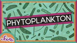 Microscopic Life in a Drop of Water  Phytoplankton  Amazing Animals  SciShow Kids [upl. by Onia]